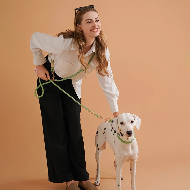 WAOPETCN Handsfree Dog Lead 10 In 1 Multi Function Leash