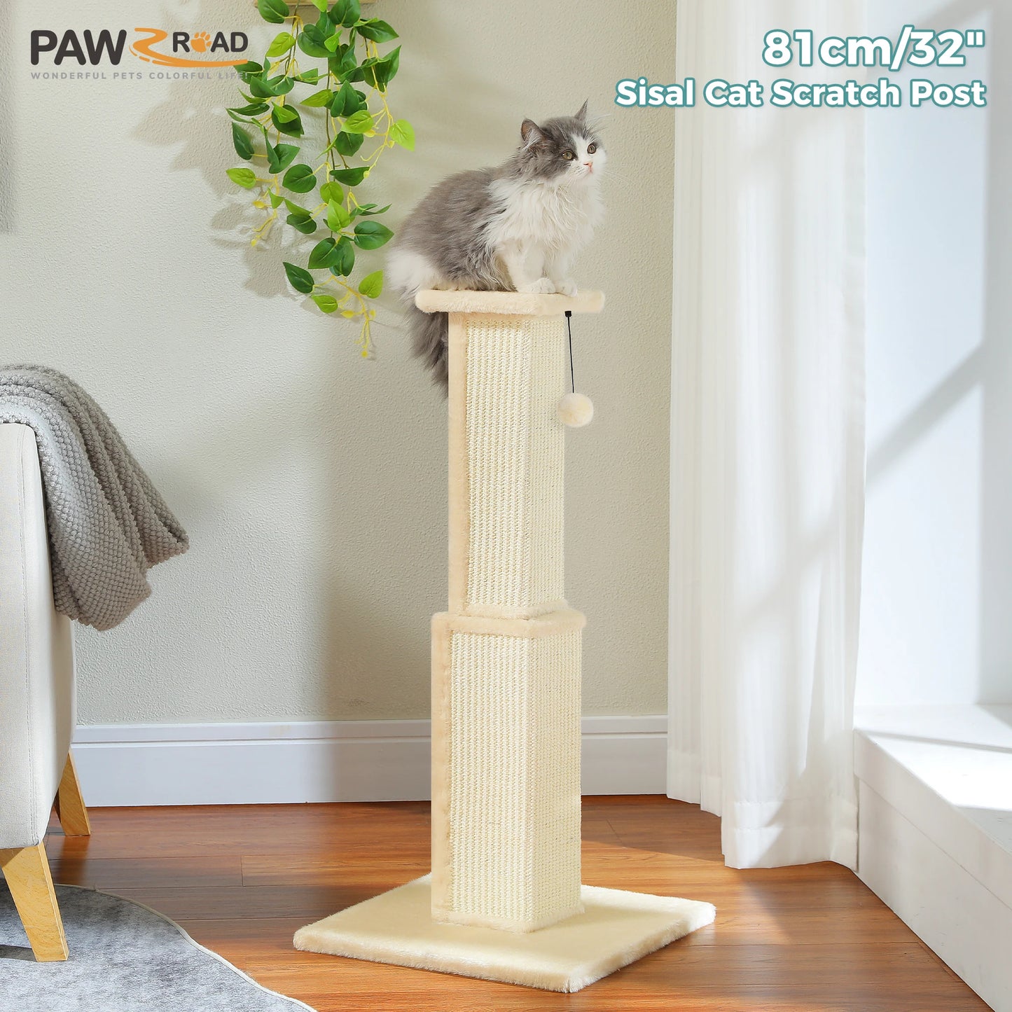 PAWZ Road Cat Scratching Post Indoor Sisal Dangling Ball Toy