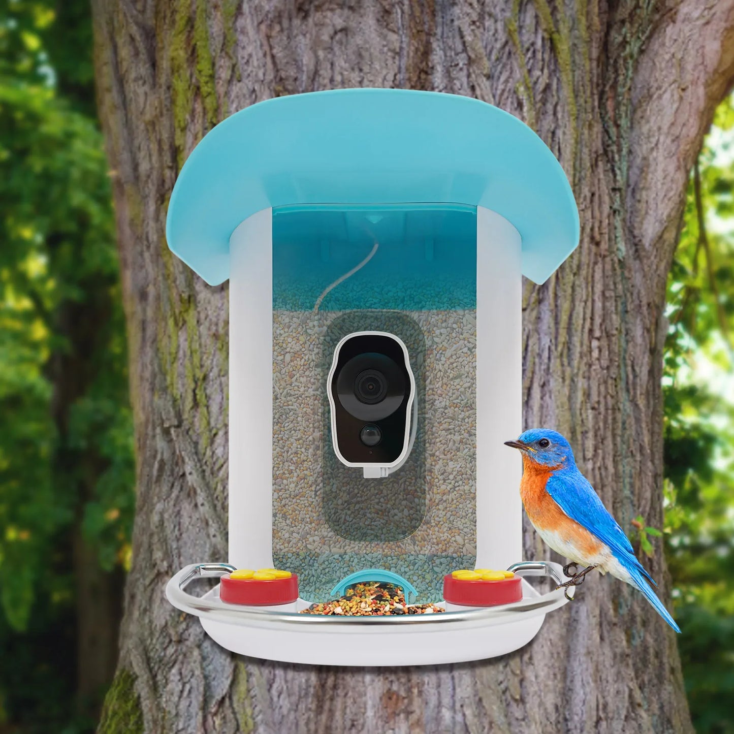 Smart Bird Feeder With Camera Outdoor Auto Capture Solar Panel